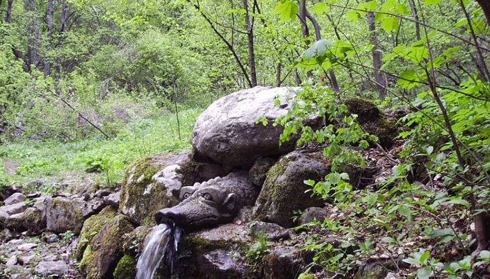 Има чешма в България, наречена Чешмата на щастието. На лесно място е и от нея тече чудотворна вода